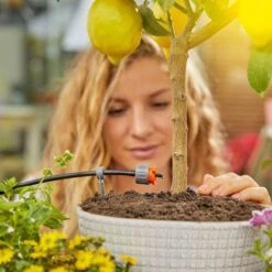 Gardena Solar-Bewässerung Aqua Bloom Set -Garten Tech Verkauf 4078500050166 3050 15