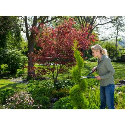 Gardena Heckenschere Precision-Cut 18 Cm Messerlänge 12 Gardena Heckenschere Precision-Cut 18 Cm Messerlänge – Bild 10